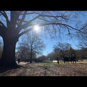 Meet your Posher, Isabel